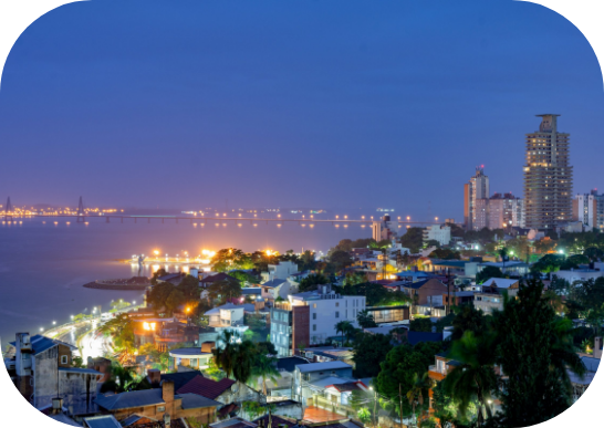 Imagen grande de THT